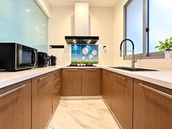 Radiance @ Bukit Timah (D21), Terrace #638602211